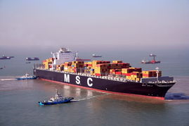 國際貨運與倉儲運輸一體化 構建高效全球供應鏈的關鍵